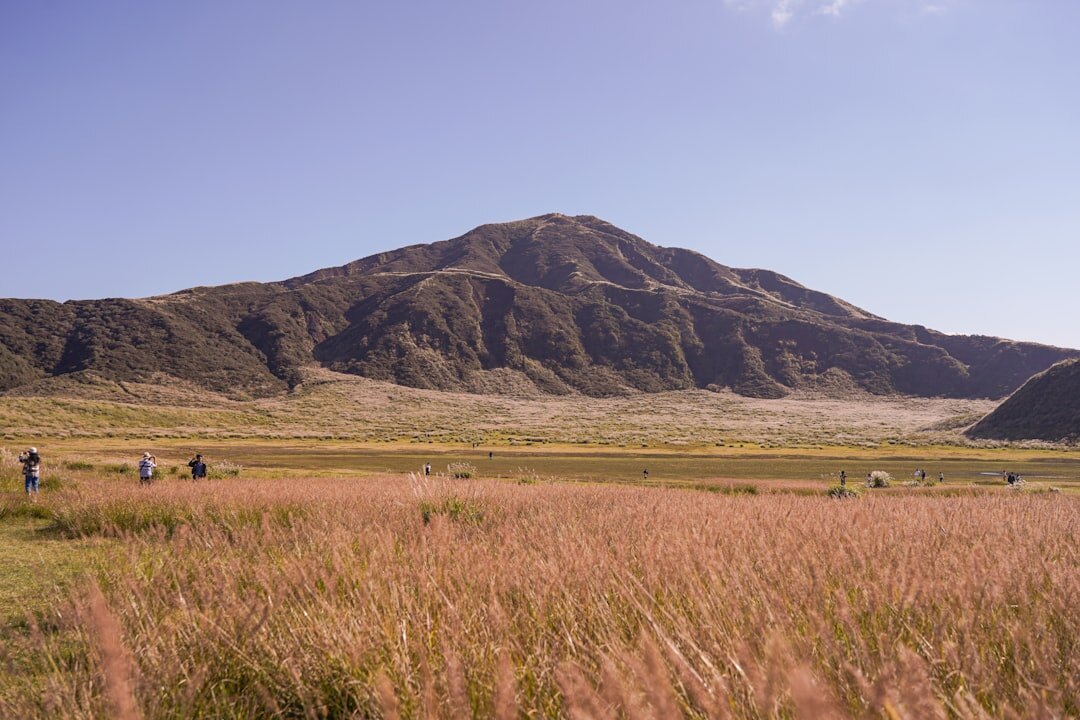 gaucho on horseback in pampas