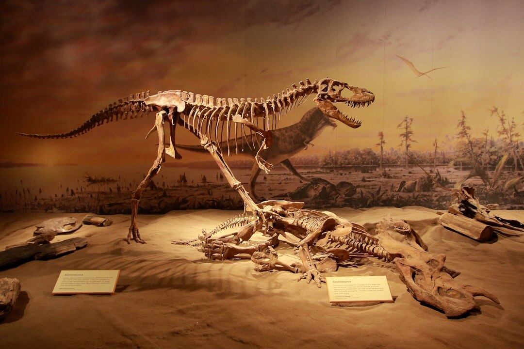 heritage museum exhibit